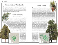 Zion: The Complete Guide