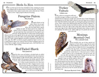 Zion: The Complete Guide