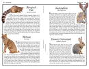 Zion: The Complete Guide