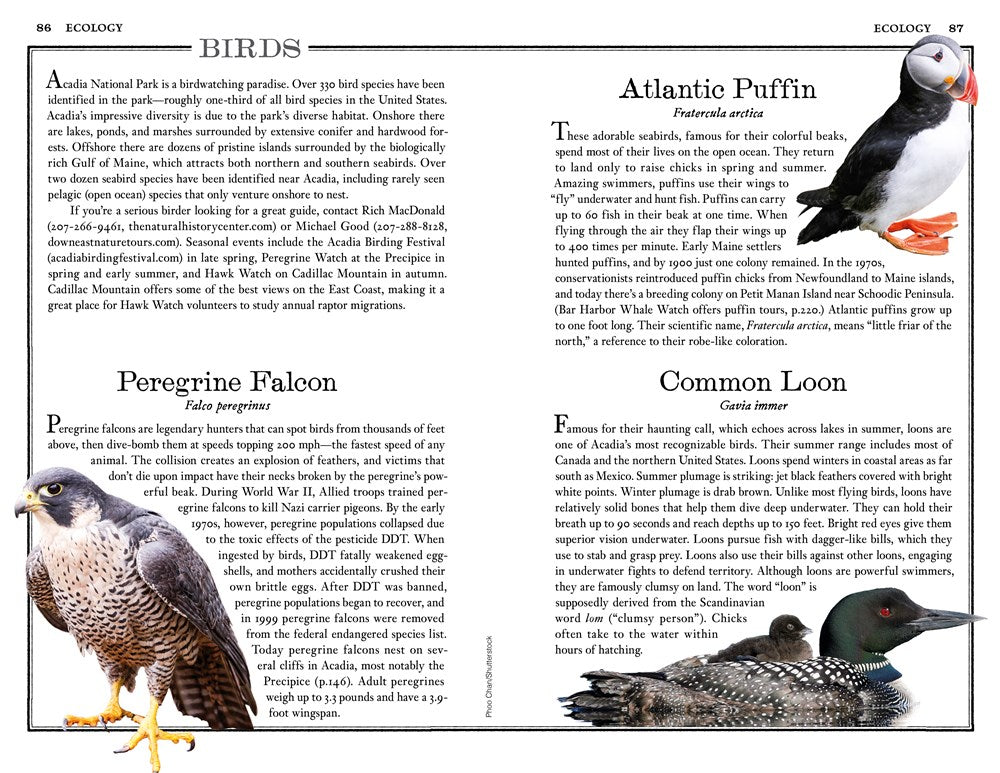 Acadia: The Complete Guide