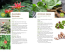 437 Edible Wild Plants of the Rocky Mountain West