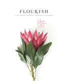 Flourish: A Mentoring Journey - Year One