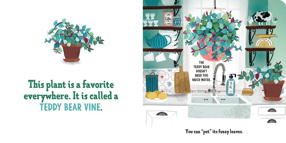 My First Book of Houseplants