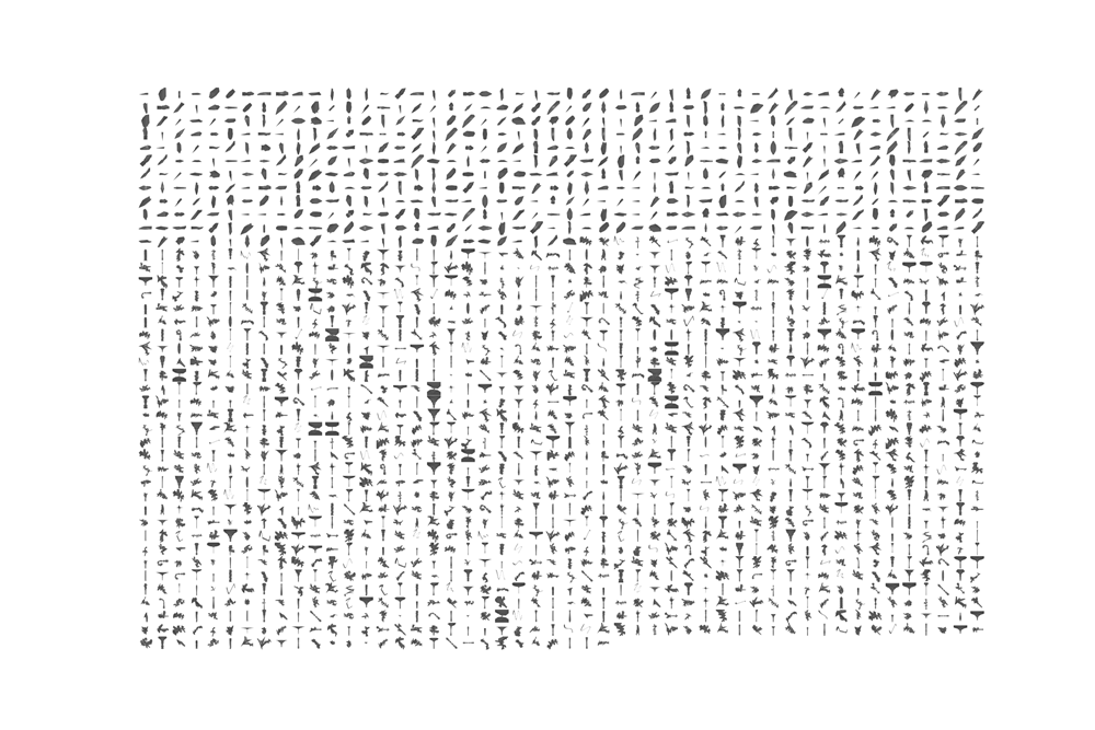 Neural Architecture