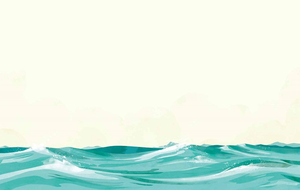 The Vanishing Lake