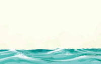 The Vanishing Lake