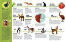 Dodos Are Not Extinct