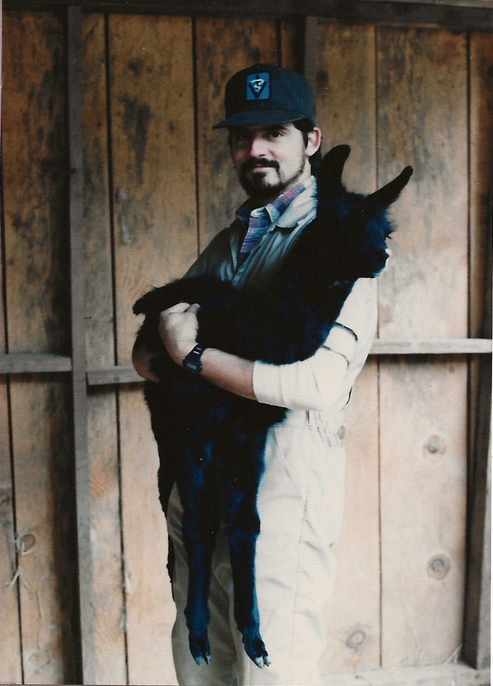 The Vet at Noah's Ark