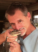 The Vet at Noah's Ark