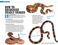 The Official John Wayne Handy Book for Boys: Essential Skills and Fun Activities for Adventurous, Self-Reliant Kids