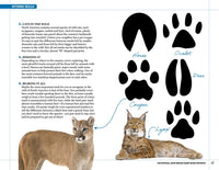 The Official John Wayne Handy Book for Boys: Essential Skills and Fun Activities for Adventurous, Self-Reliant Kids