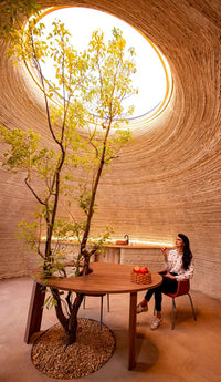 Manual of Biogenic House Sections: Materials and Carbon