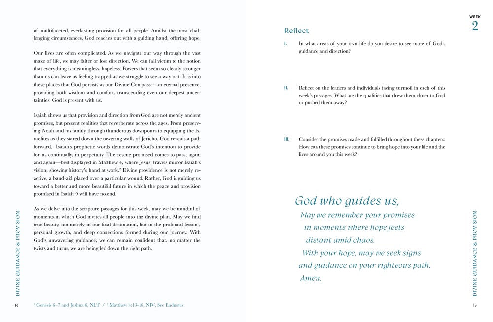 Beautiful Year in the Bible: The 52-Week Bible Study for Women (SB)