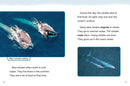 Blue Whales