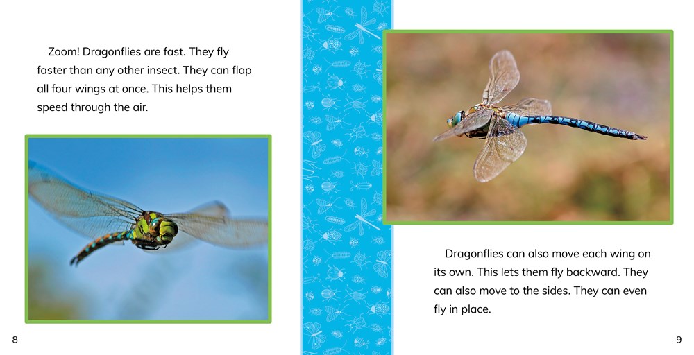 Fast Facts About Dragonflies