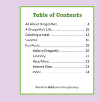 Fast Facts About Dragonflies