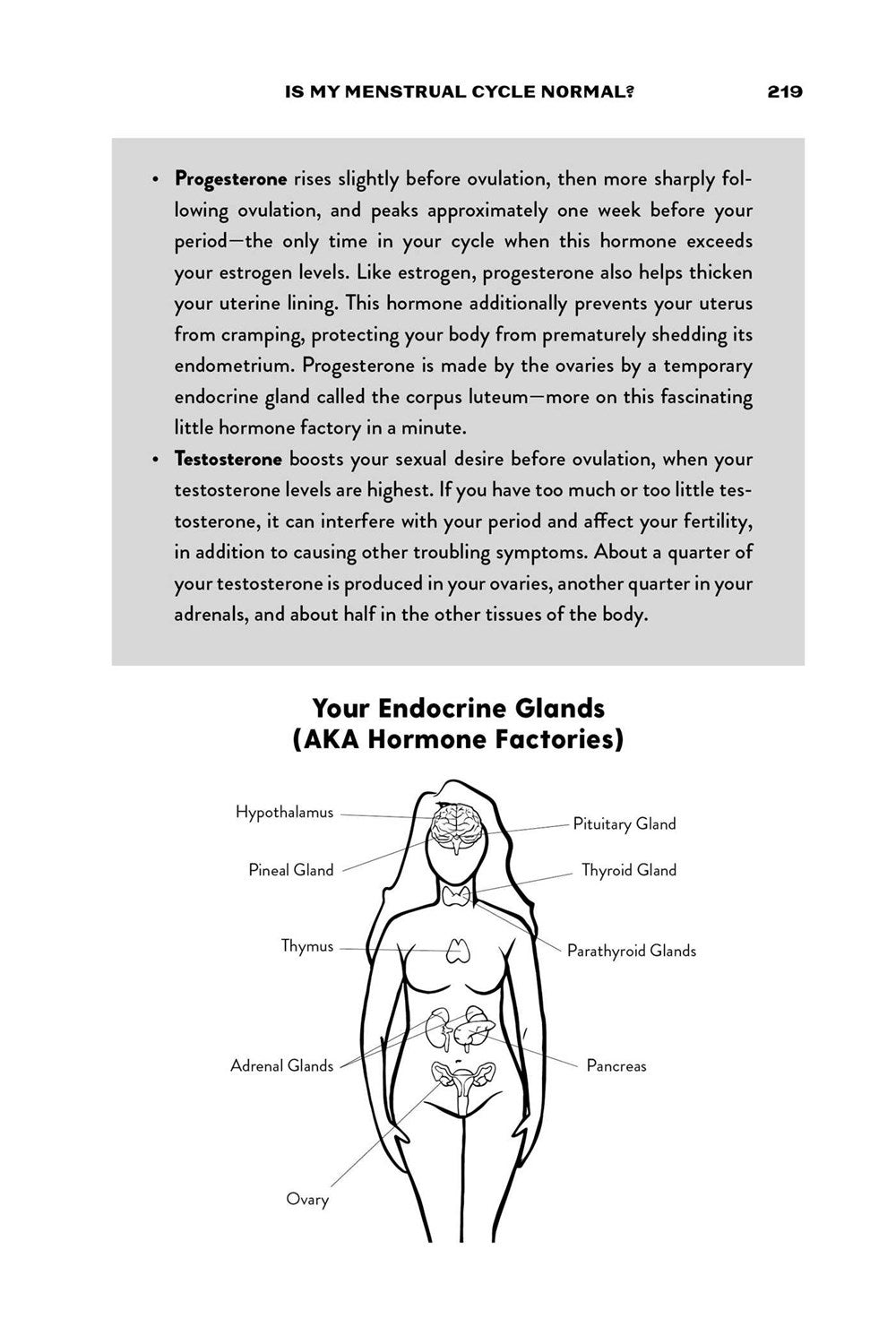 Is This Normal?: Judgment-Free Straight Talk about Your Body