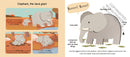 Touch and Explore: Safari