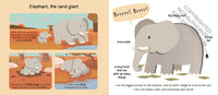 Touch and Explore: Safari