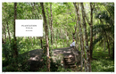 Great Escapes Yoga. The Retreat Book