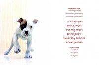 Walter Chandoha. Dogs. Photographs 1941-1991