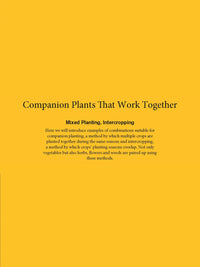 Japanese Style Companion Planting