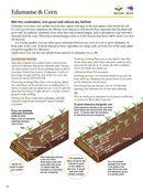 Japanese Style Companion Planting