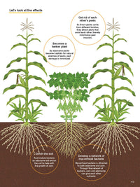 Japanese Style Companion Planting