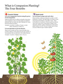 Japanese Style Companion Planting