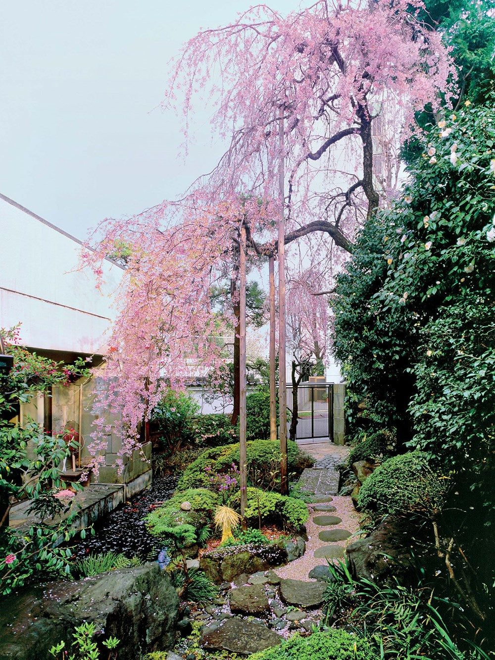 Inside Your Japanese Garden
