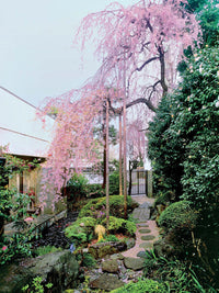 Inside Your Japanese Garden