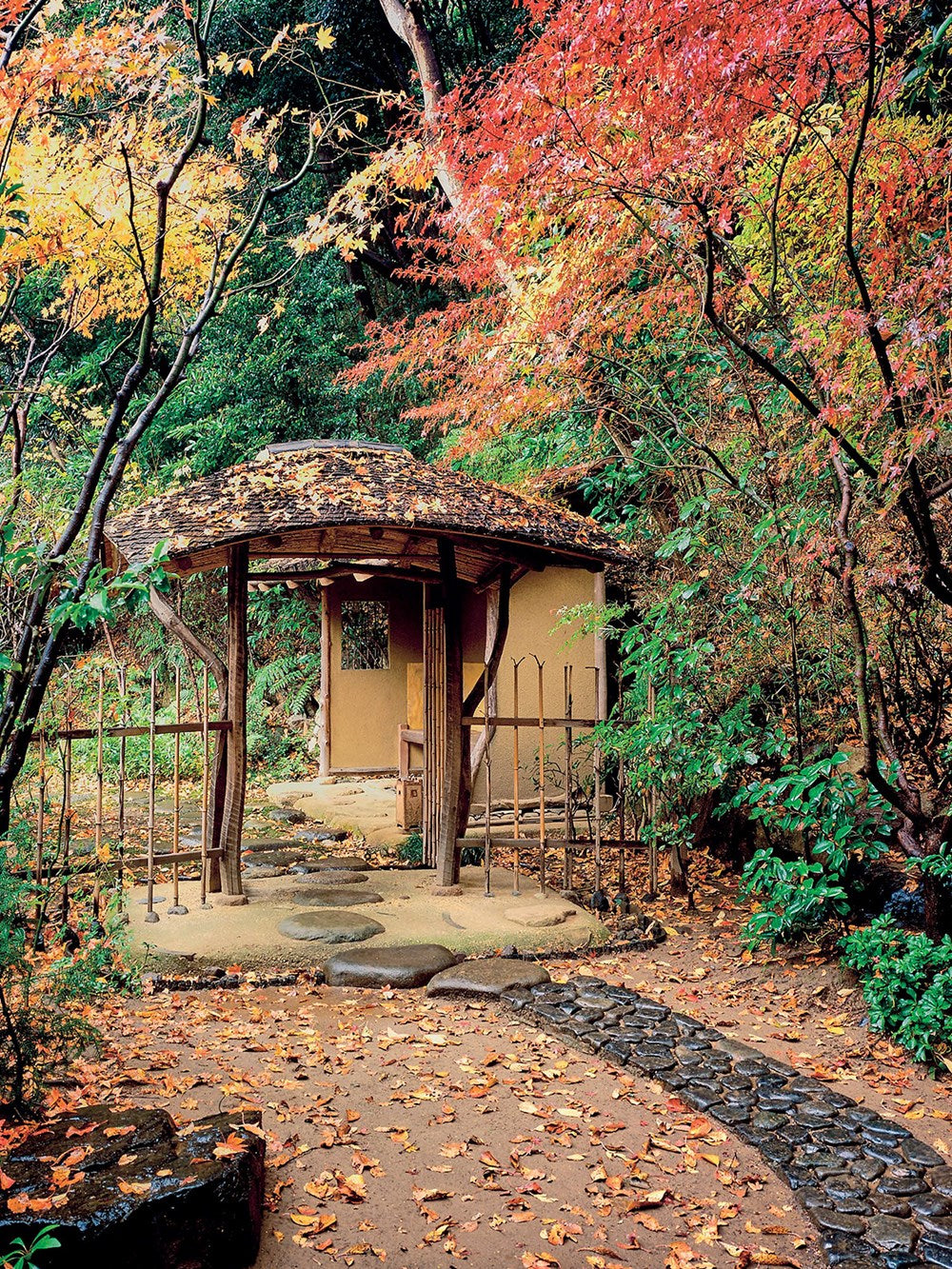 Inside Your Japanese Garden