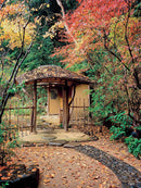 Inside Your Japanese Garden