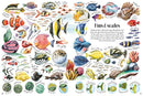 Shapes and Patterns in Nature