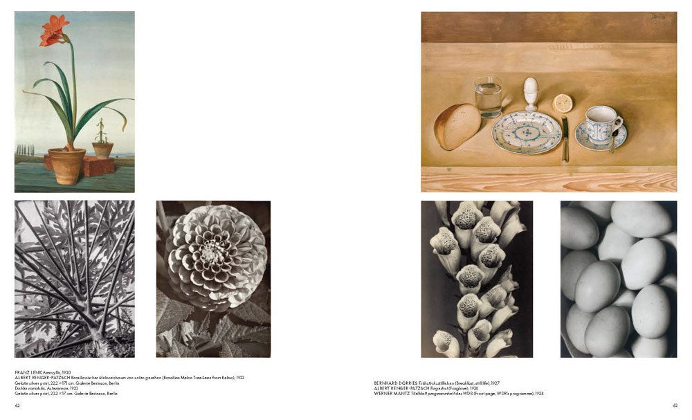 The Cold Gaze: Germany in the 1920s