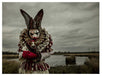 Mothmeister: Dark and Dystopian Post-Mortem Fairy Tales