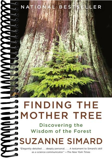 Finding the Mother Tree: Discovering the Wisdom of the Forest