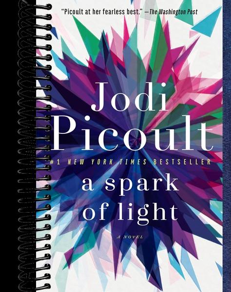 A Spark of Light: A Novel