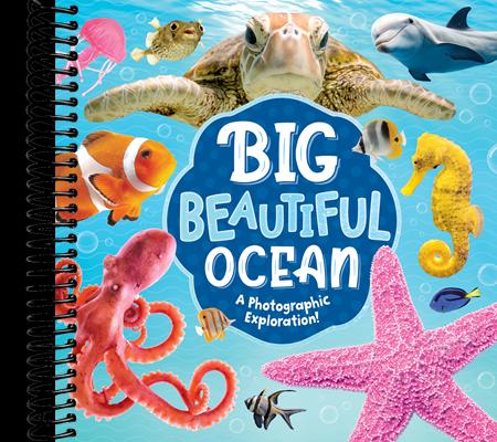 Big Beautiful Ocean: A Photographic Exploration!