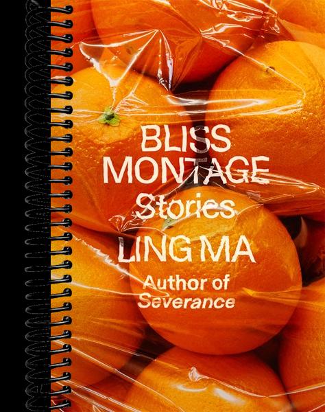 Bliss Montage: Stories