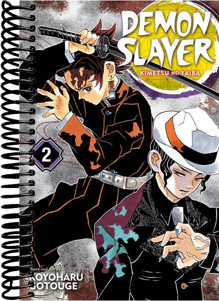 Demon Slayer: Kimetsu no Yaiba, Vol. 2 : It Was You
