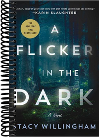 A Flicker in the Dark: A Novel