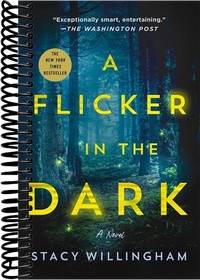 A Flicker in the Dark: A Novel