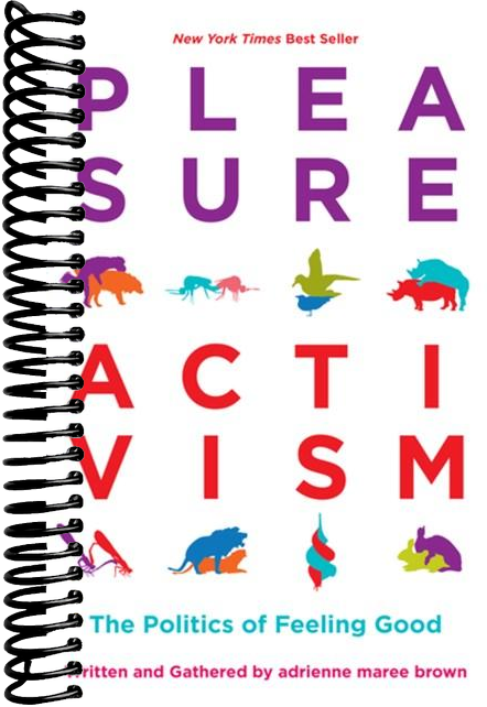 Pleasure Activism: The Politics of Feeling Good