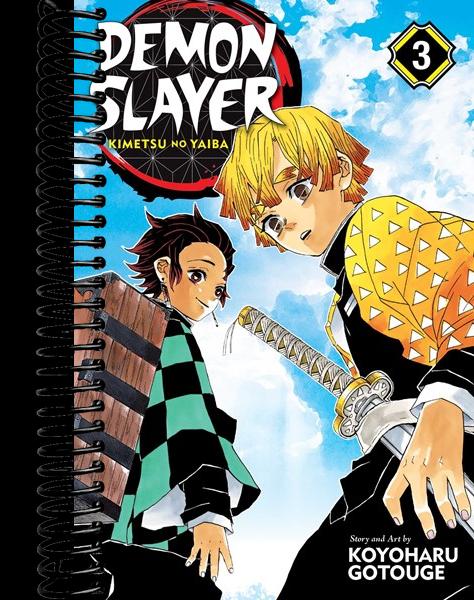 Demon Slayer: Kimetsu no Yaiba, Vol. 3 : Believe in Yourself