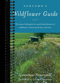 Newcomb's Wildflower Guide