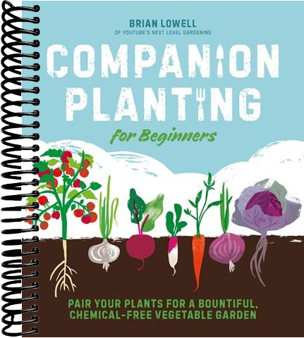 Companion Planting for Beginners: Pair Your Plants for a Bountiful, Chemical-Free Vegetable Garden