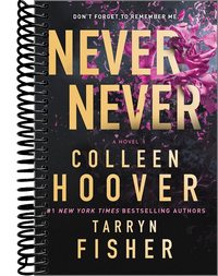 Never Never: A Romantic Suspense Novel of Love and Fate