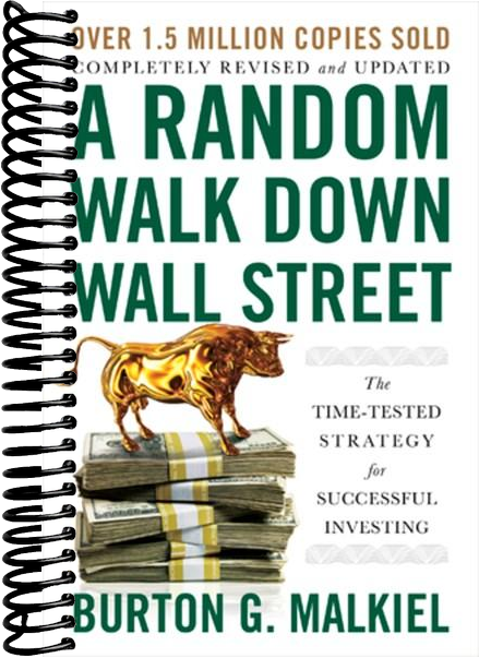A Random Walk Down Wall Street: The Time-Tested Strategy for Successful Investing