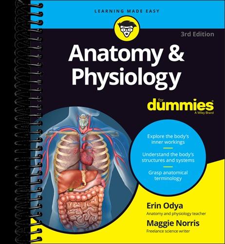 Anatomy & Physiology For Dummies  (3rd Edition)